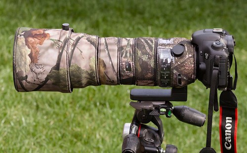 Sigma 150 600mm - 5, os
