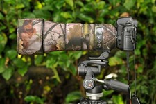 Sigma 150 600mm F5 6.3 DG OS