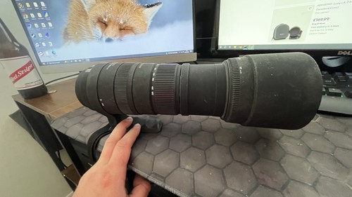 Sigma 150 500mm 6 - dg, f/5-6.3